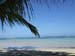palmenstrand1_beachhouse_fidschi