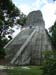 tempel_fuenf_58m_flores_tikal_guat