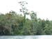 wilderwuchsbootstour_riodulce_guat