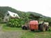 03farmhaus_wwoof1_kaikohe